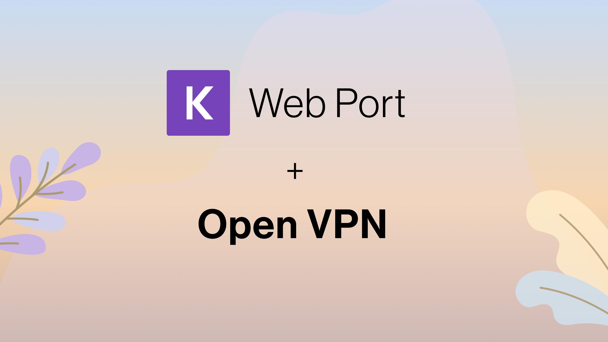 Web Port + Open VPN